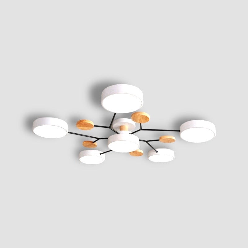 Luxueuze kunst plafondlamp