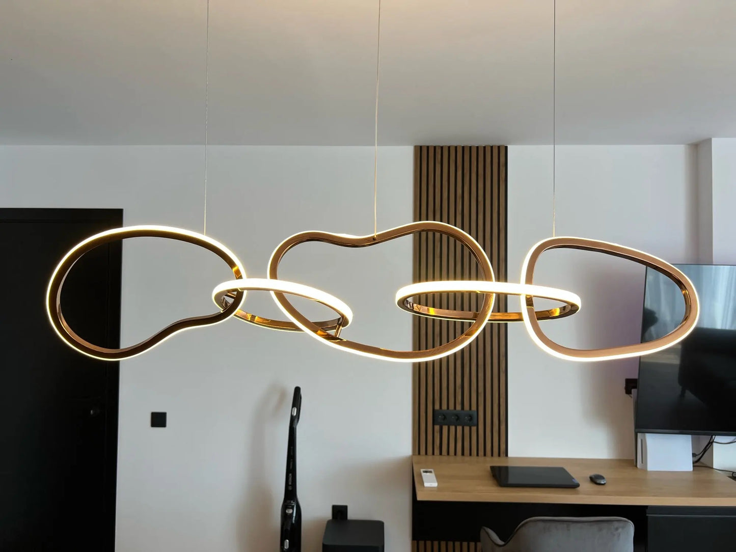 Moderne LED ovale cirkel hanglamp met gouden afwerking