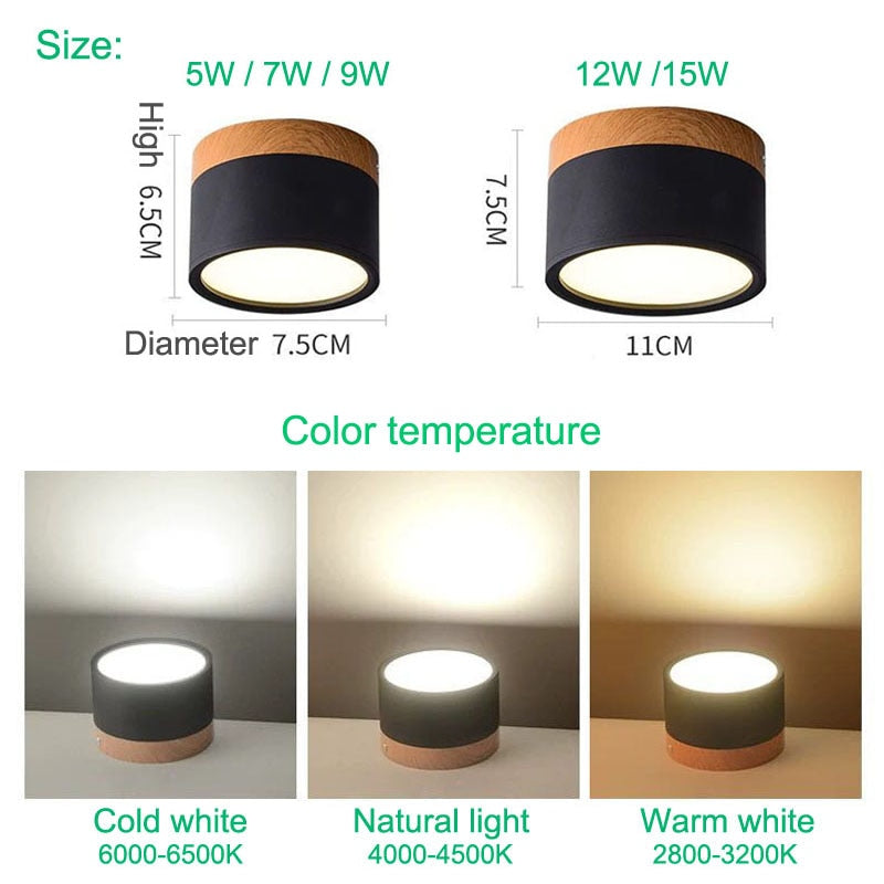 Plafonnier moderne nordique à diodes électroluminescentes