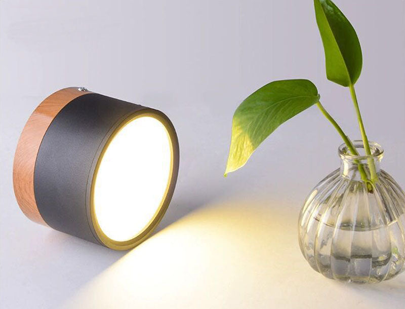 Plafonnier moderne nordique à diodes électroluminescentes