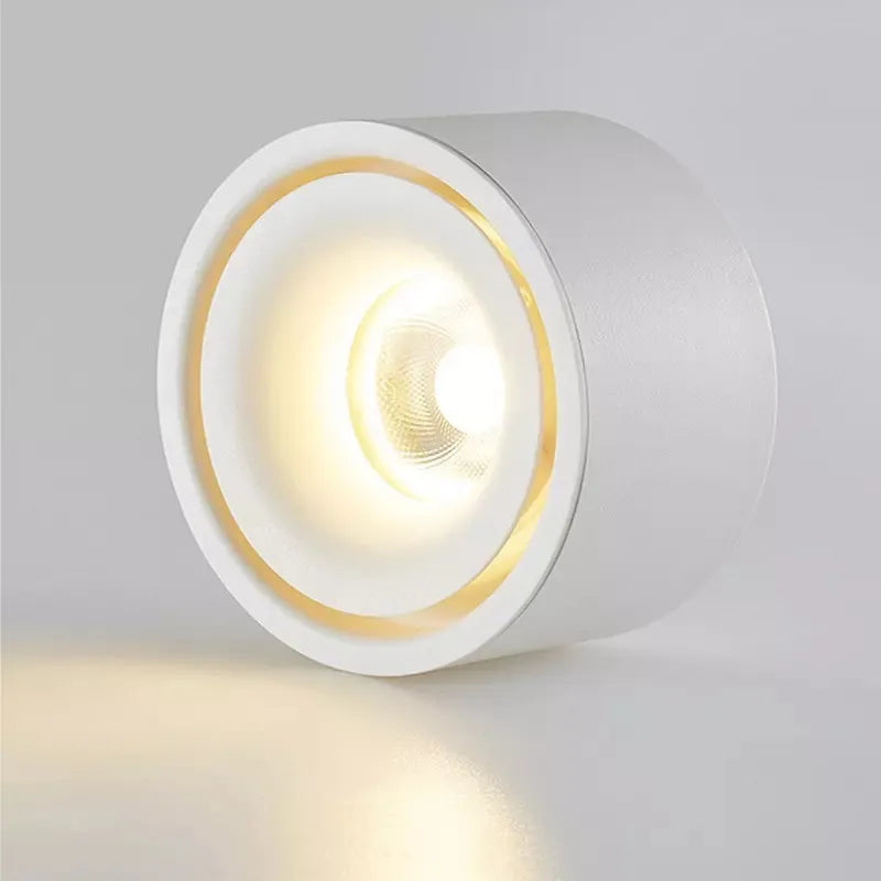 Anti-Glare Spotlight