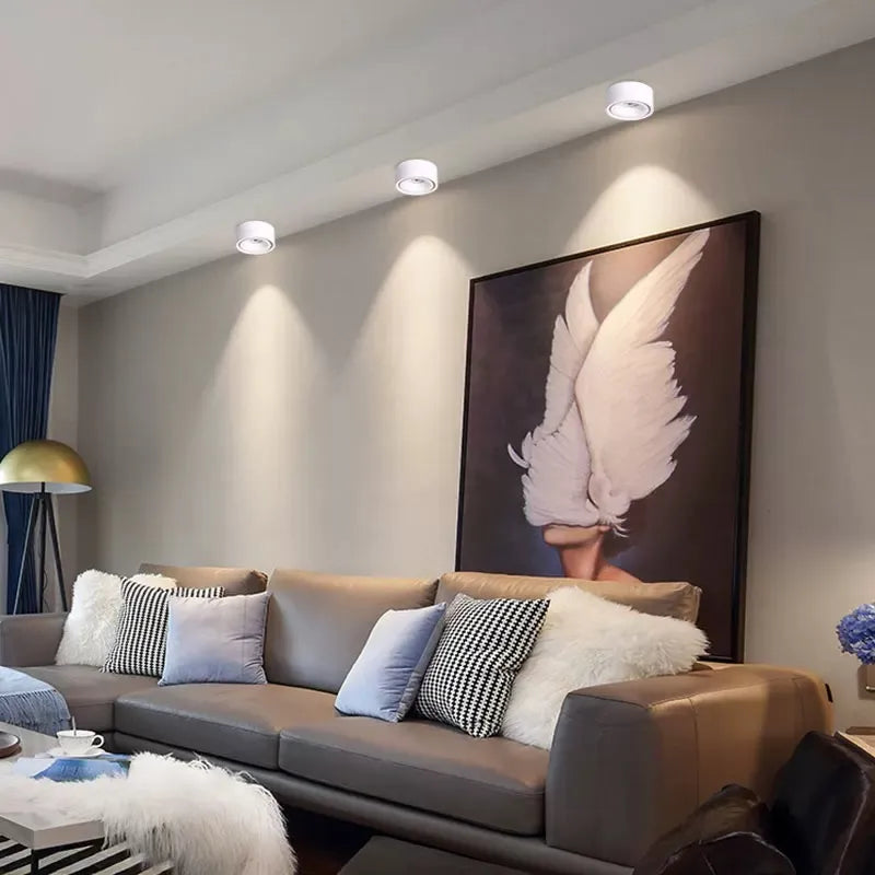 Anti-Glare Spotlight
