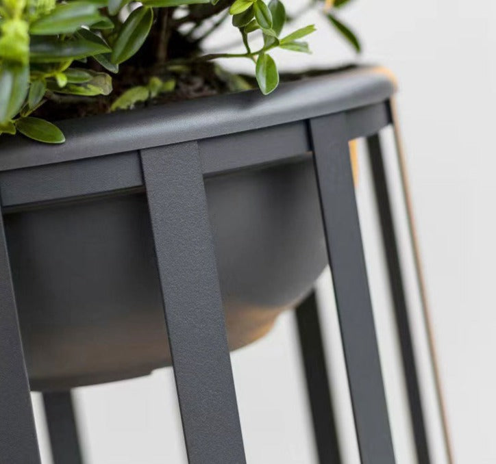 Premium Solar Light