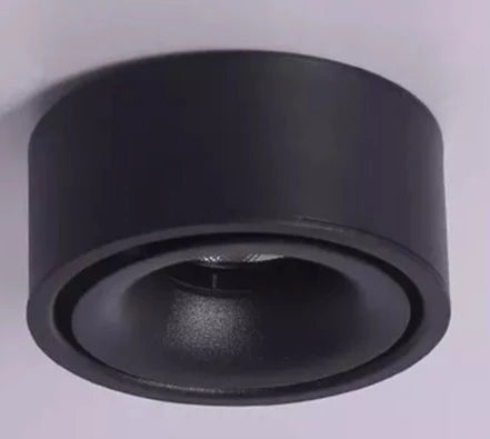 Anti-Glare Spotlight