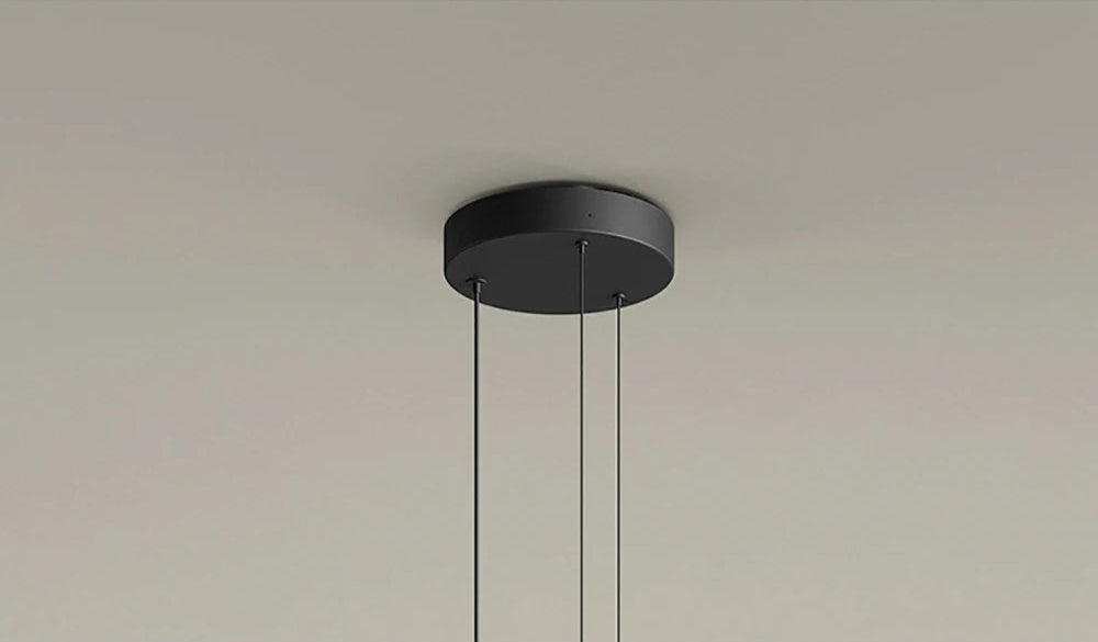 Black ceiling plate with suspension wires for glass pendant light. Supports adjustable hanging for modern lighting fixtures.