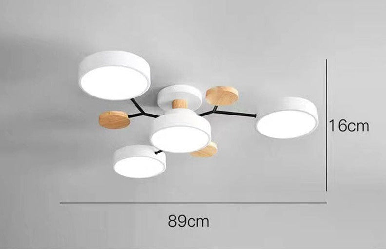 Luxueuze kunst plafondlamp