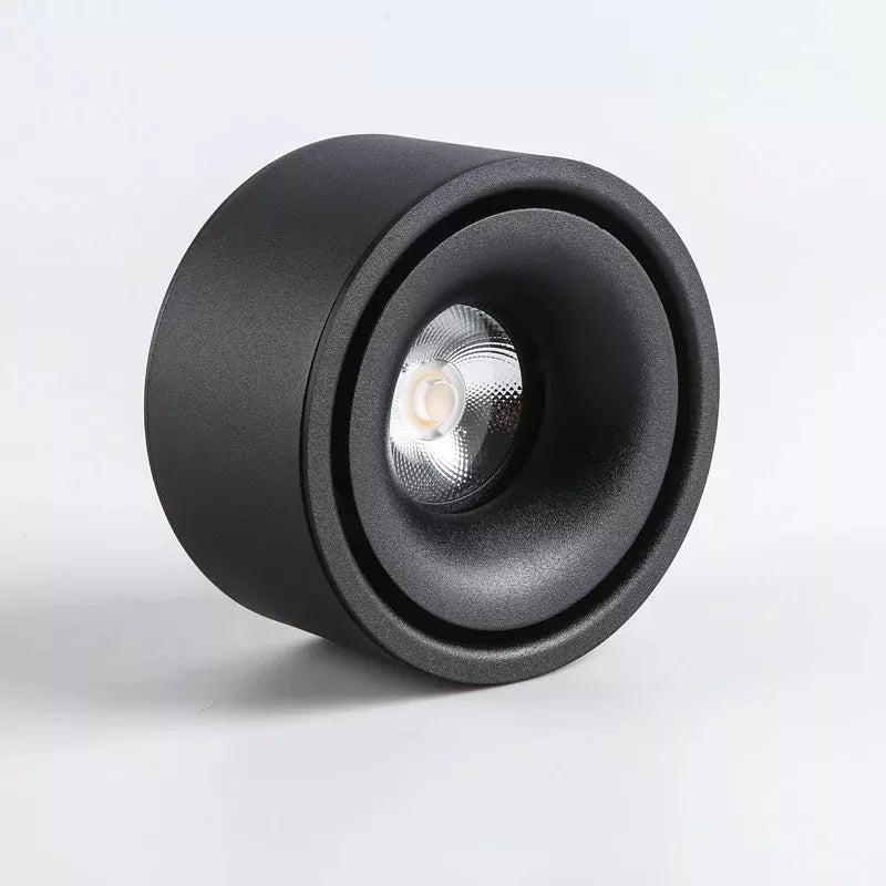Anti-Glare Spotlight