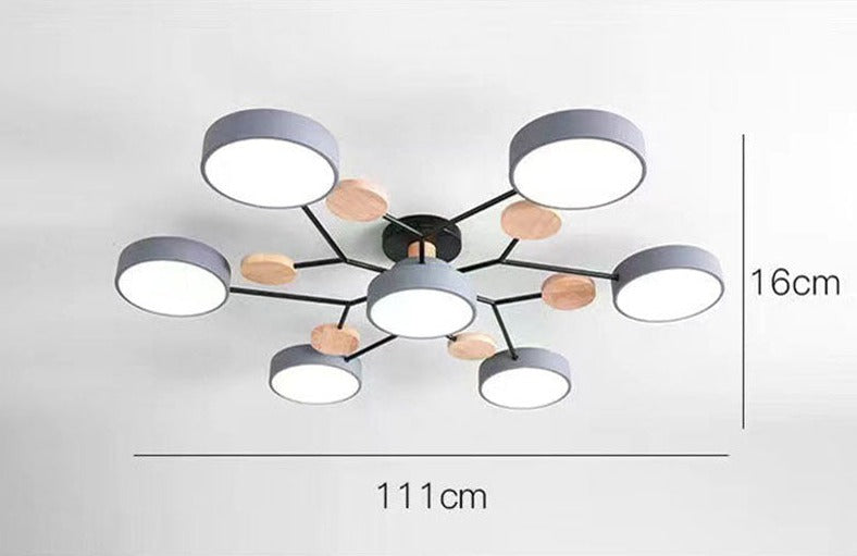 Luxueuze kunst plafondlamp