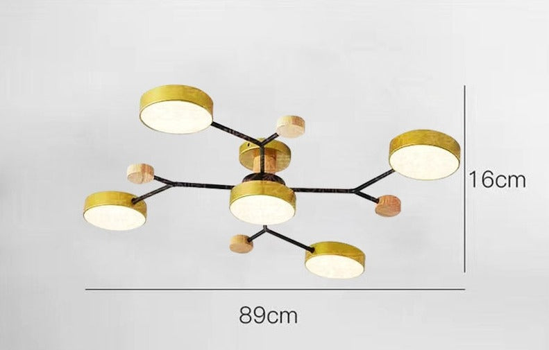 Luxueuze kunst plafondlamp