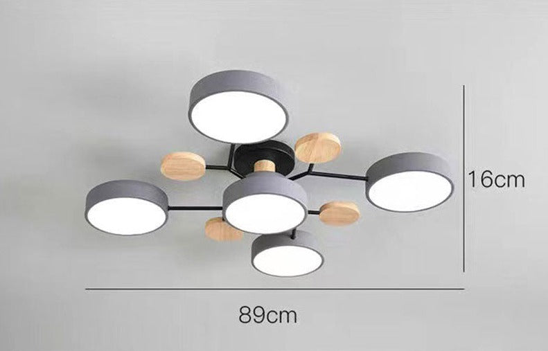 Luxueuze kunst plafondlamp