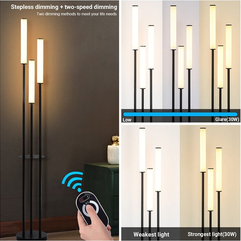Etagère LED Lampes de sol Dimmable Stockage Debout