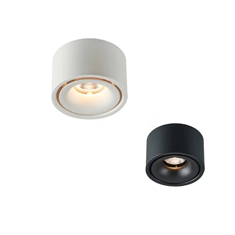 Anti-Glare Spotlight