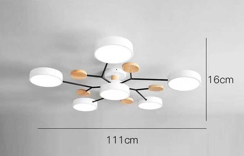 Luxueuze kunst plafondlamp
