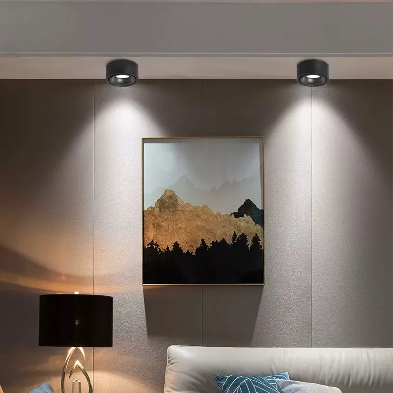 Anti-Glare Spotlight