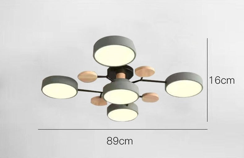 Luxueuze kunst plafondlamp