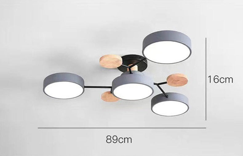 Luxueuze kunst plafondlamp