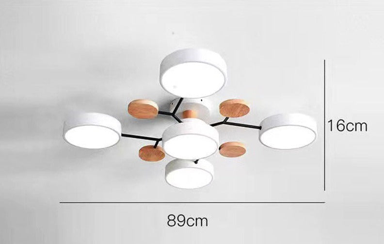 Luxueuze kunst plafondlamp