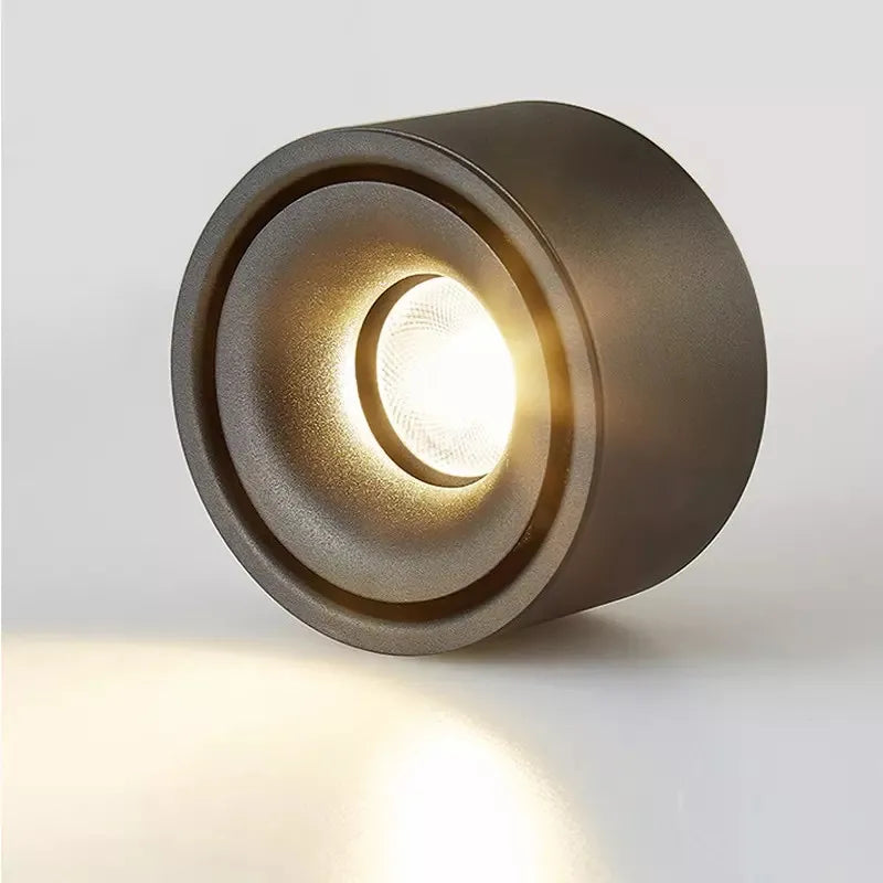 Anti-Glare Spotlight