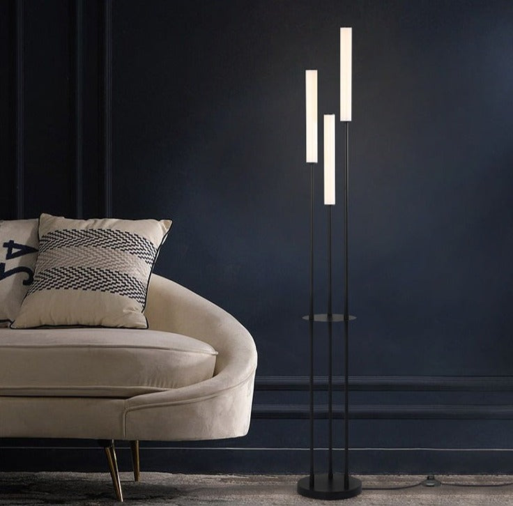 Etagère LED Lampes de sol Dimmable Stockage Debout