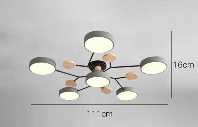 Luxueuze kunst plafondlamp
