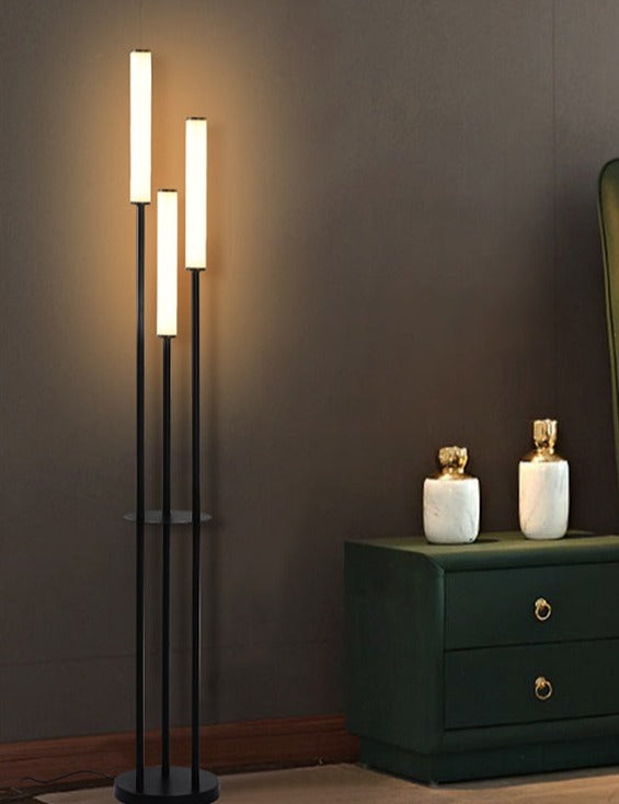Etagère LED Lampes de sol Dimmable Stockage Debout
