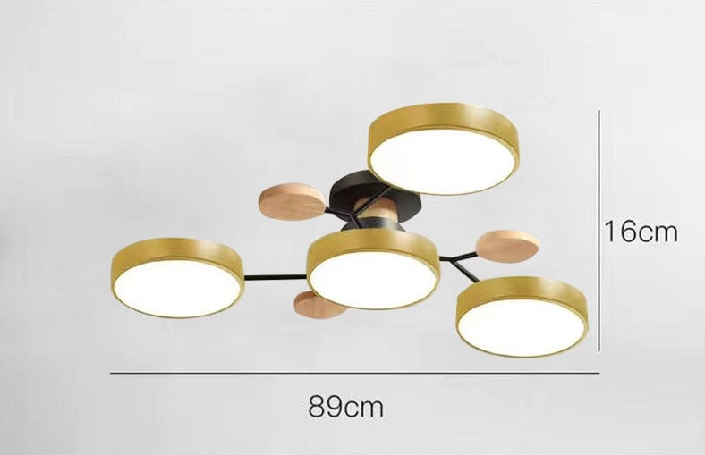 Luxueuze kunst plafondlamp