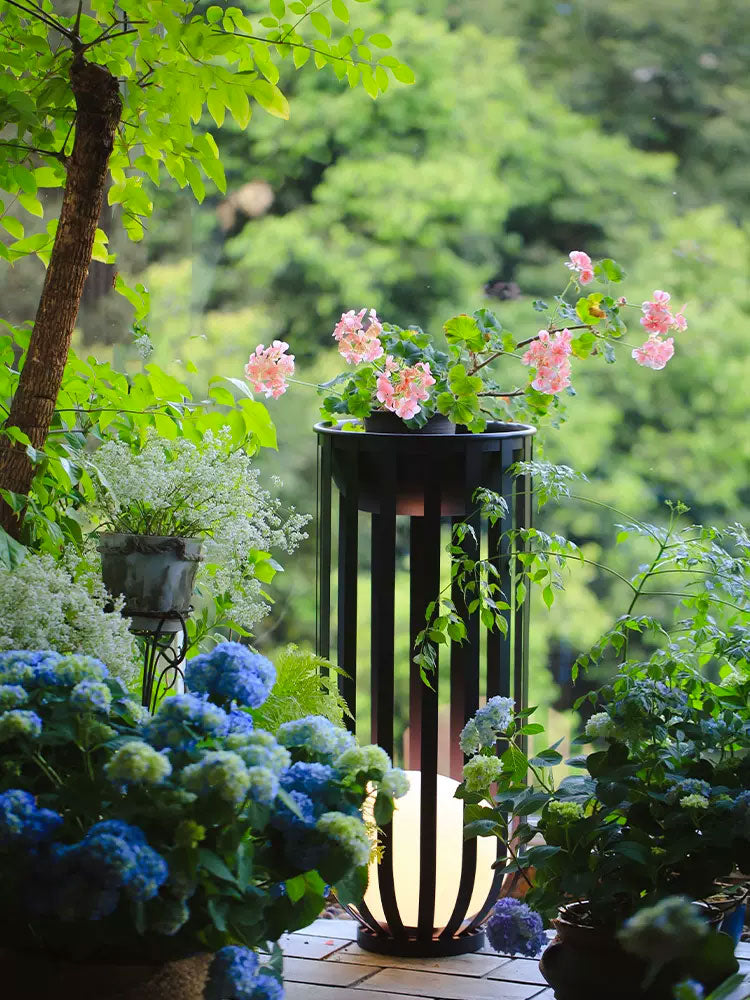 Premium Solar Light