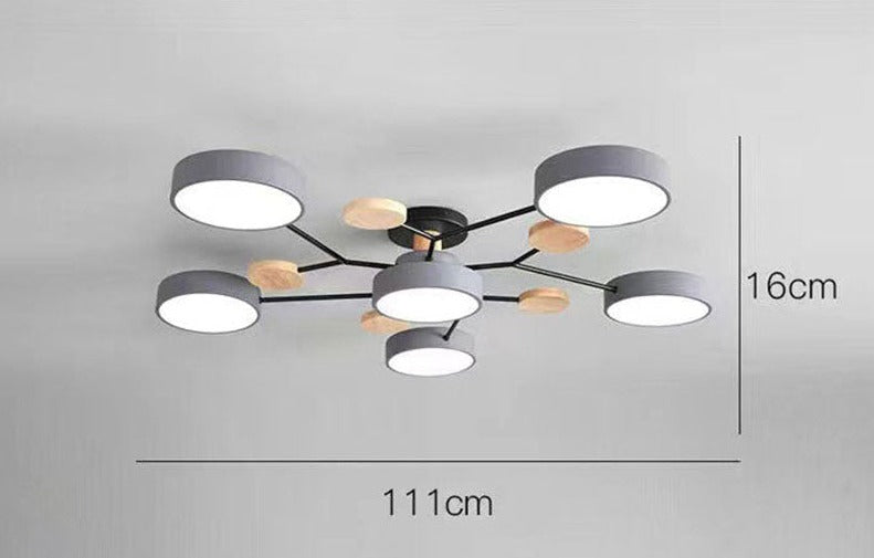 Luxueuze kunst plafondlamp