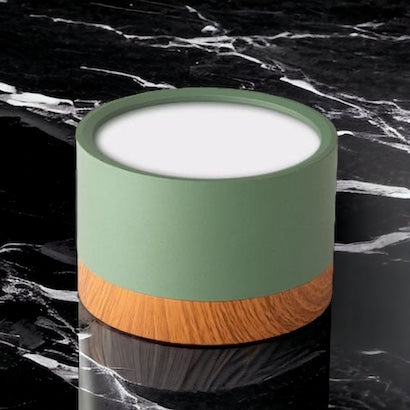 Plafonnier moderne nordique à diodes électroluminescentes