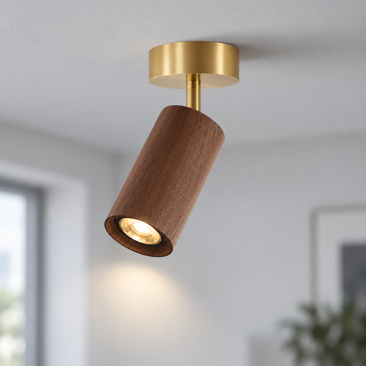 Walnut ceiling spotlight with a raised brass canopy