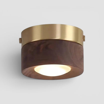 Justerbar downlight i valnötsfärgad mässing för korridor