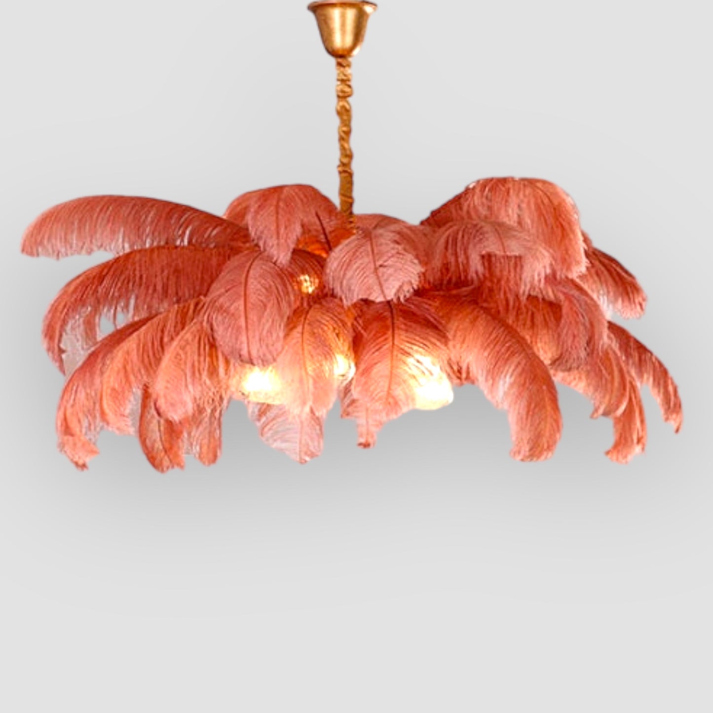 Feather Ceiling Light