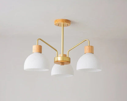 Nordic wooden ceiling chandelier for living room