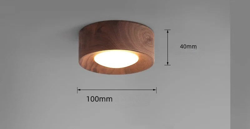 Walnut brass adjustable downlight for corridor