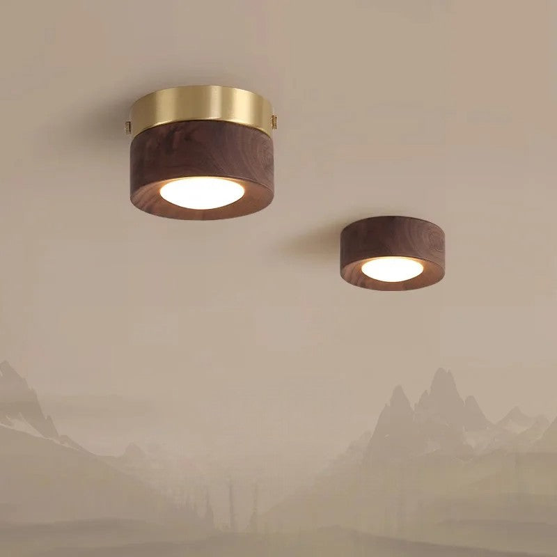Walnut brass adjustable downlight for corridor