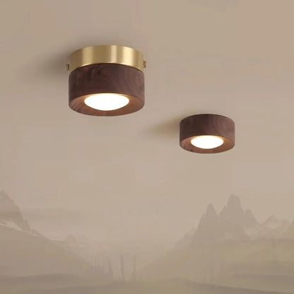 Walnut brass adjustable downlight for corridor
