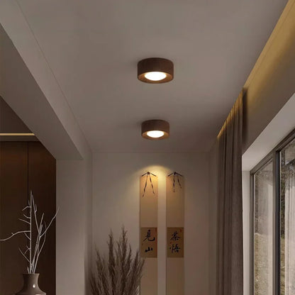 Walnut brass adjustable downlight for corridor