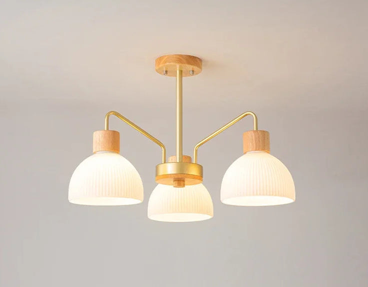 Nordic wooden ceiling chandelier for living room