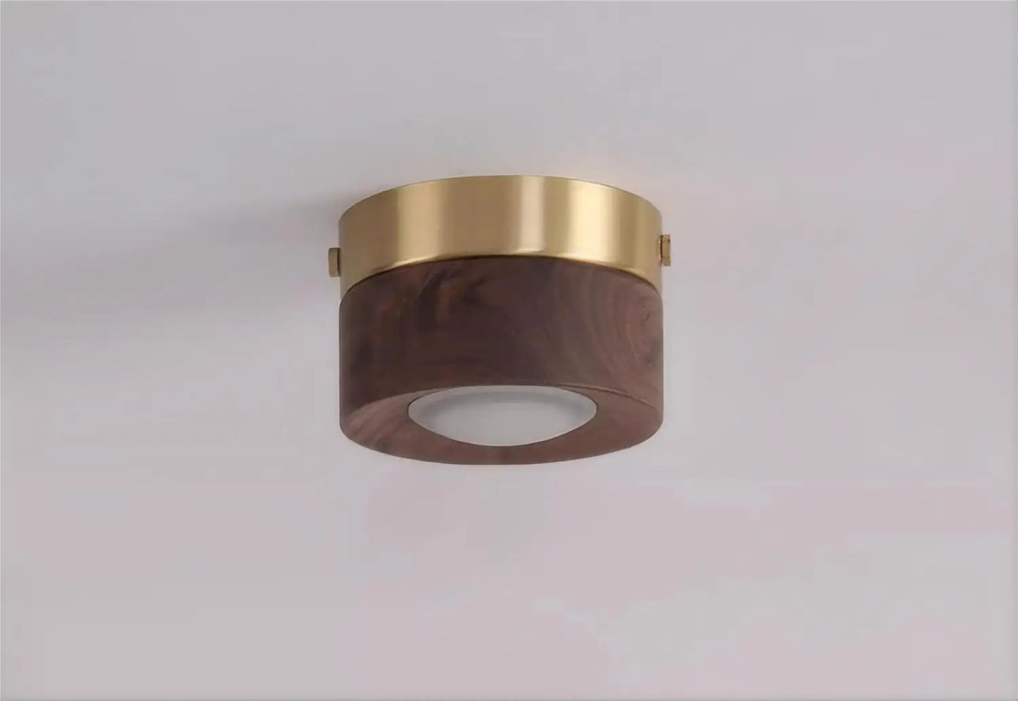 Walnut brass adjustable downlight for corridor