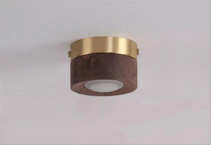 Walnut brass adjustable downlight for corridor