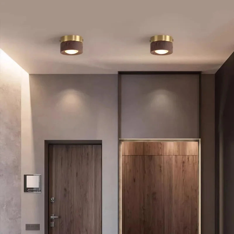 Walnut brass adjustable downlight for corridor