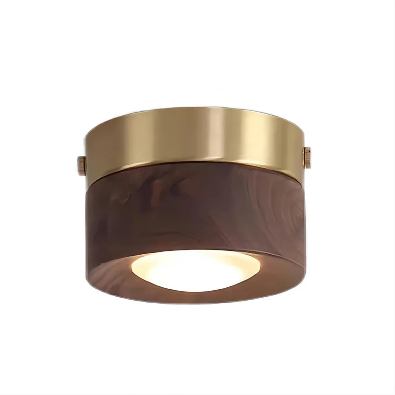 Walnut brass adjustable downlight for corridor