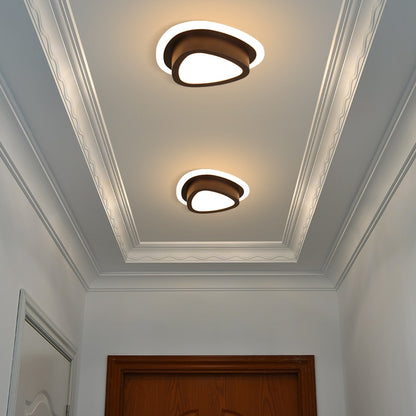 Luxely Modern Ceiling Led Light