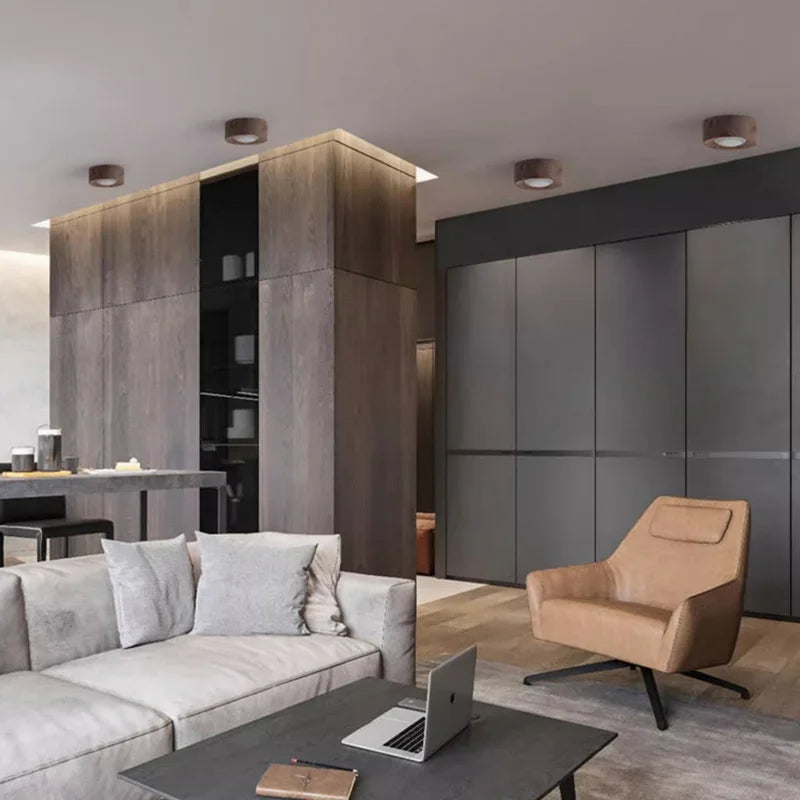 Walnut brass adjustable downlight for corridor