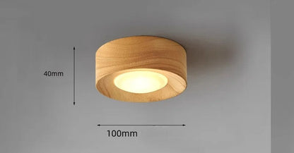 Walnut brass adjustable downlight for corridor