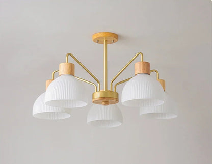 Nordic wooden ceiling chandelier for living room