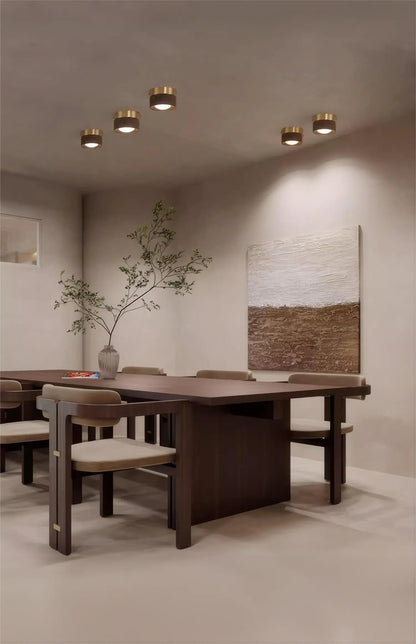 Walnut brass adjustable downlight for corridor