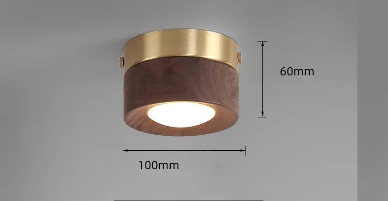 Walnut brass adjustable downlight for corridor