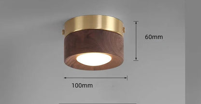 Walnut brass adjustable downlight for corridor