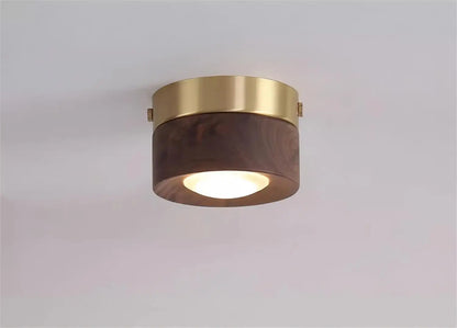 Walnut brass adjustable downlight for corridor